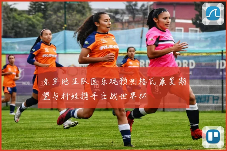 克罗地亚队医乐观预测格瓦康复期望与科娃携手出战世界杯